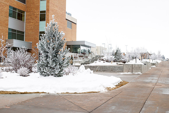 Beautiful pictures of campus scenery after a frosty snowstorm.