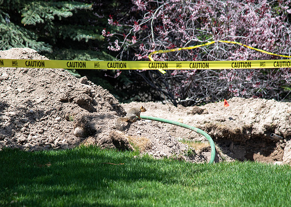 Campus Construction - June 2022