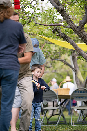 Apple Blossom Festival - May 2025