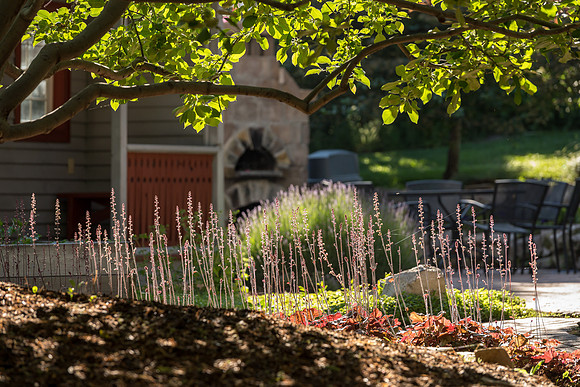 Thomas E Ricks Horticulture Gardens