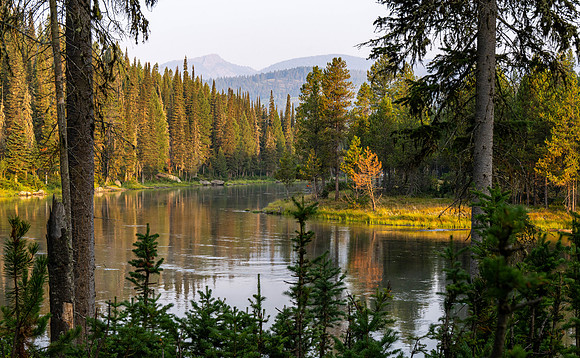 Photo excursion, hike along the river to Coffee Pot rapids.