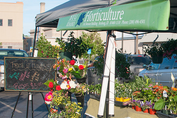 BYU-I Horticulture Stand, Front of Booth, spring 2013