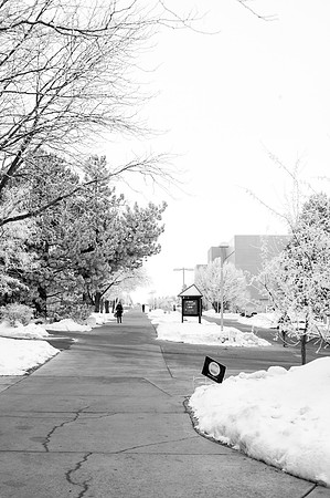 Beautiful pictures of campus scenery after a frosty snowstorm.