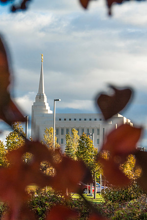 Rexburg Temple in between fall leaves.