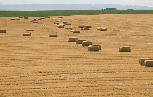 Aerial photos of Idaho agriculture