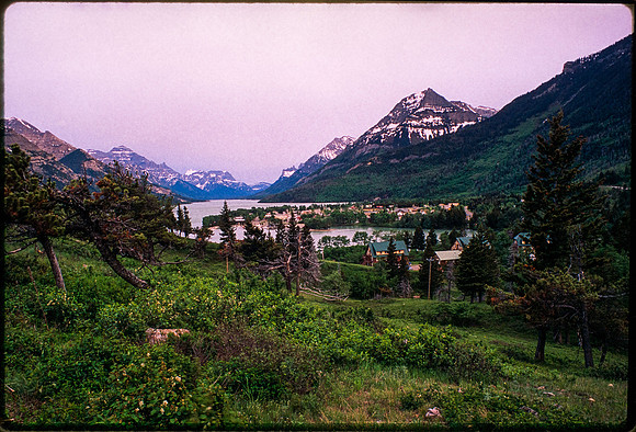 Waterton National Park - Canada - June 1995
