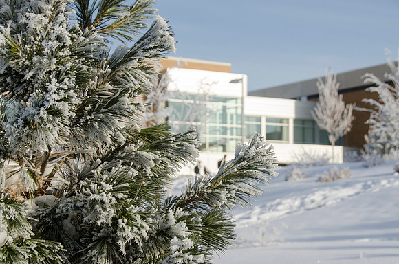 A frosty winter day at BYU-Idaho.