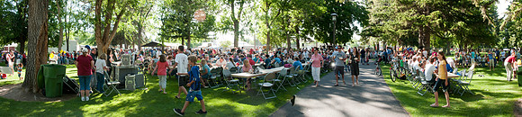 Beehive Credit Union Picnic