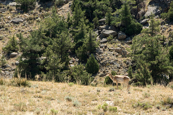 Martin's Cove, a place of refuge for handcart pioneers who were caught in an early winter storm en-route to Salt Lake City, UT.