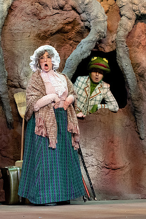 The Wind in the Willows - Feb 2020