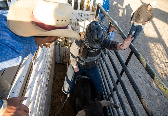 SpringFest Rodeo - June 2025