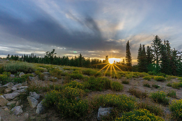 Various landscapes in central Idaho along a well known bikepacking route.
