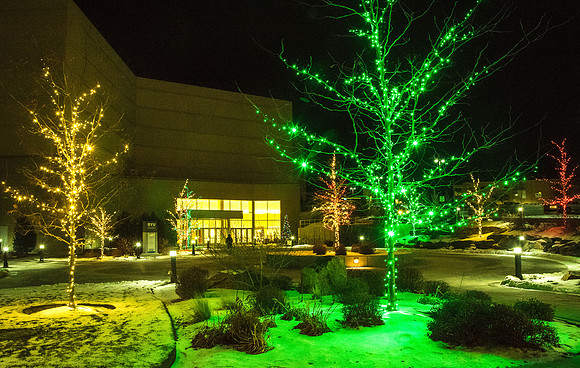 Christmas lights around campus help bring in the holiday cheer.
