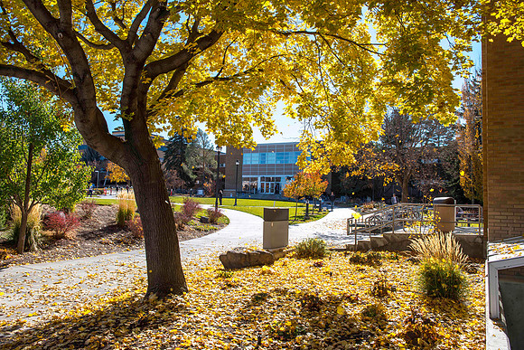The beautiful colors of fall seen around campus.
