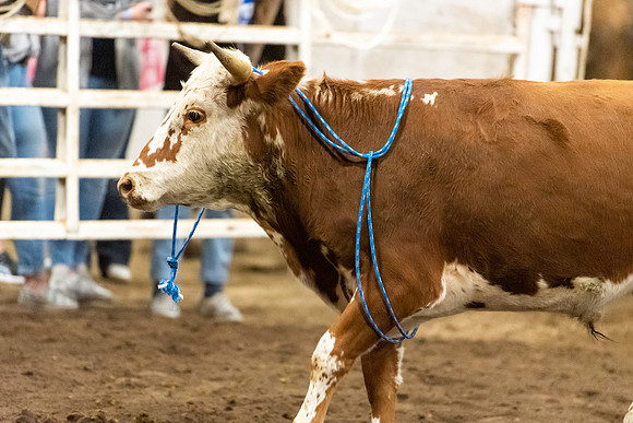 BYU-I Rodeo - Oct 2021