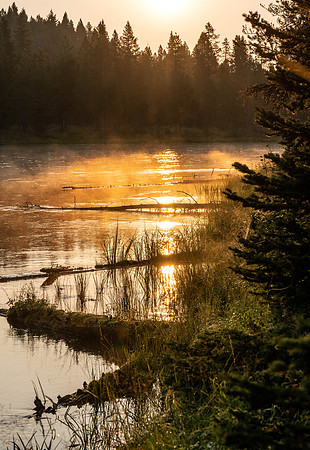 Photo excursion, hike along the river to Coffee Pot rapids.