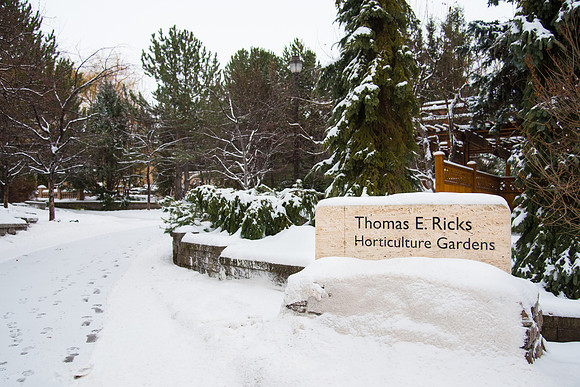 Snowy morning on campus, Fall 2016