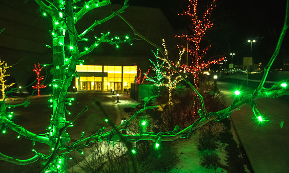 Christmas lights around campus help bring in the holiday cheer.