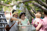 Apple Blossom Festival - May 2025