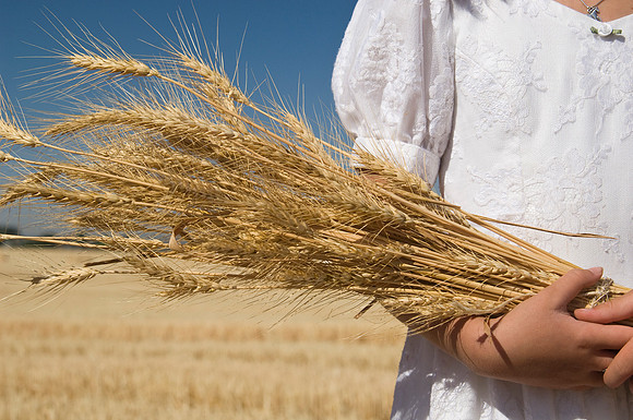 Children in the wheat fields- AUG 2007