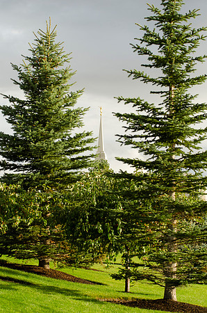 Rexburg Temple after the rain.