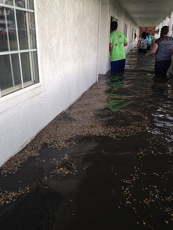 July 15, 2014 Over an inch of rain in less than an hour created a flash flood through Rexburg streets, through a few BYU-Idaho buildings and also flooded several students basement apartments. The even