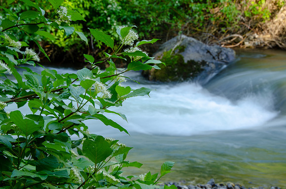 Photo Excursion: hike to Lower Palisades Lake.