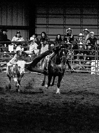 The main event was calf roping