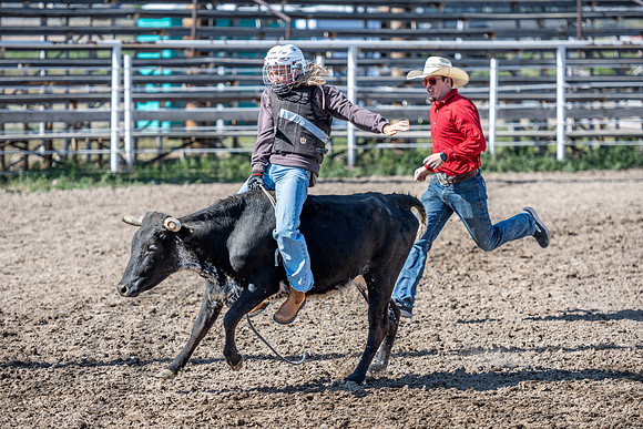 SpringFest Rodeo - June 2025