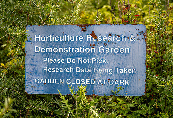 Apple Orchards - Aug 2025