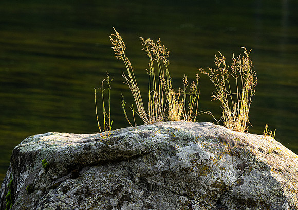 Photo excursion, hike along the river to Coffee Pot rapids.