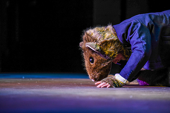 The theatre department's dress rehearsal of the Wind in the Willows in the Snow Drama Theatre.