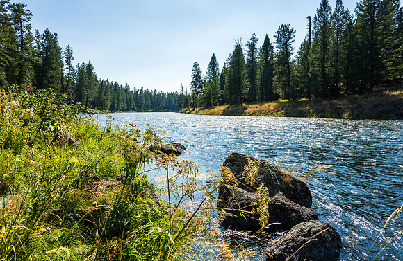 Hike through Box Canyon in Island Park Idaho.