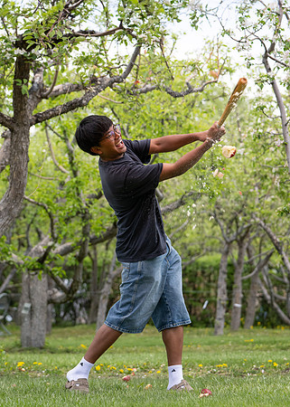 Apple Blossom Festival - May 2025