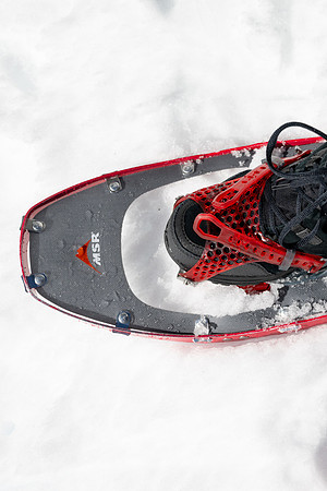 Snowshoeing at Bear Gulch - Mar 2025