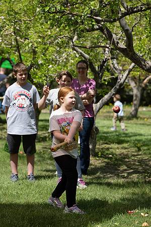 Apple Blossom Festival - May 2025