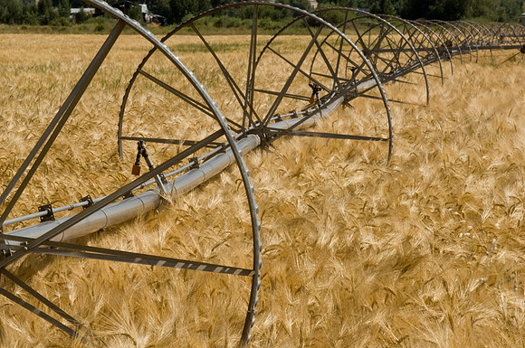 Agricultural Scenic Shots
