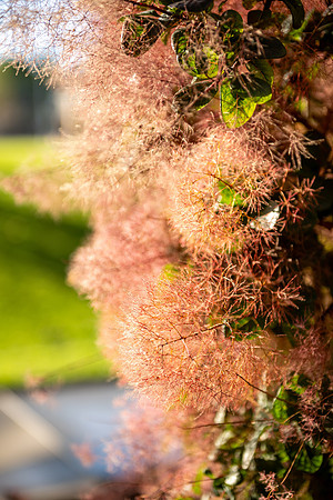 Campus Nature in the Morning - Aug 2025