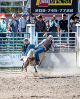 SpringFest Rodeo - June 2025