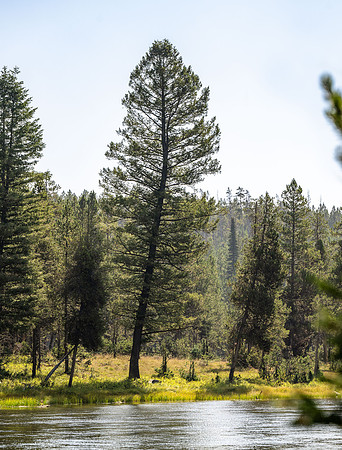 Photo excursion, hike along the river to Coffee Pot rapids.