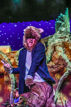 The theatre department's dress rehearsal of the Wind in the Willows in the Snow Drama Theatre.