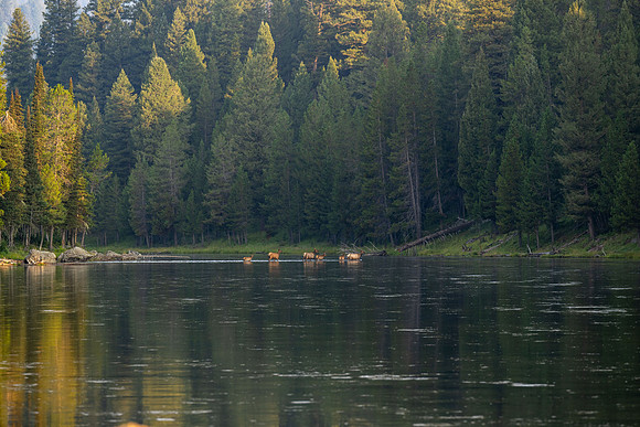 Photo excursion, hike along the river to Coffee Pot rapids.