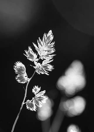 Hike - June 2024