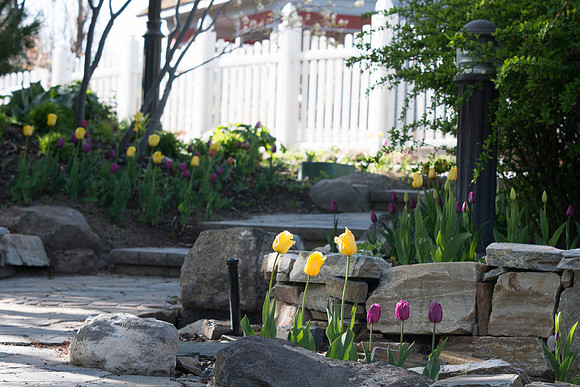 The beautiful gardens on campus during the 2014 Spring Semester.
