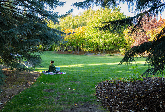 BYU-Idaho campus and gardens - Oct 2024