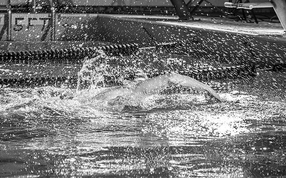 Swimming Pool fitness banner photoshoot.