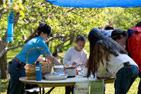 Apple Blossom Festival - May 2025
