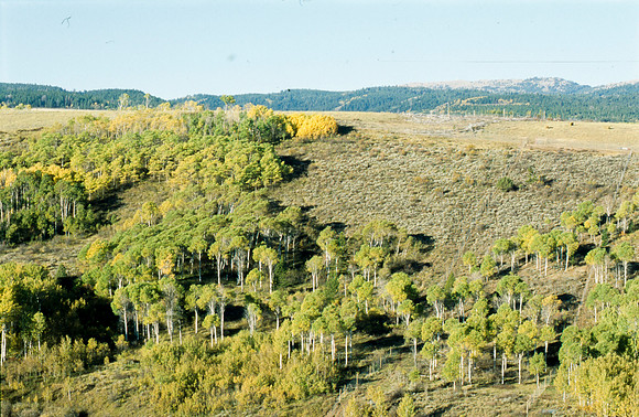 Scenery photographs of the Elk Ranch.