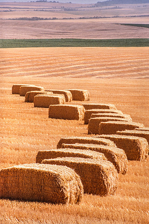 Off Highway 33 near Green Canyon