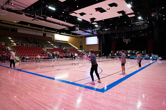 Business Management Networking Pickleball Tournament - Mar 2025